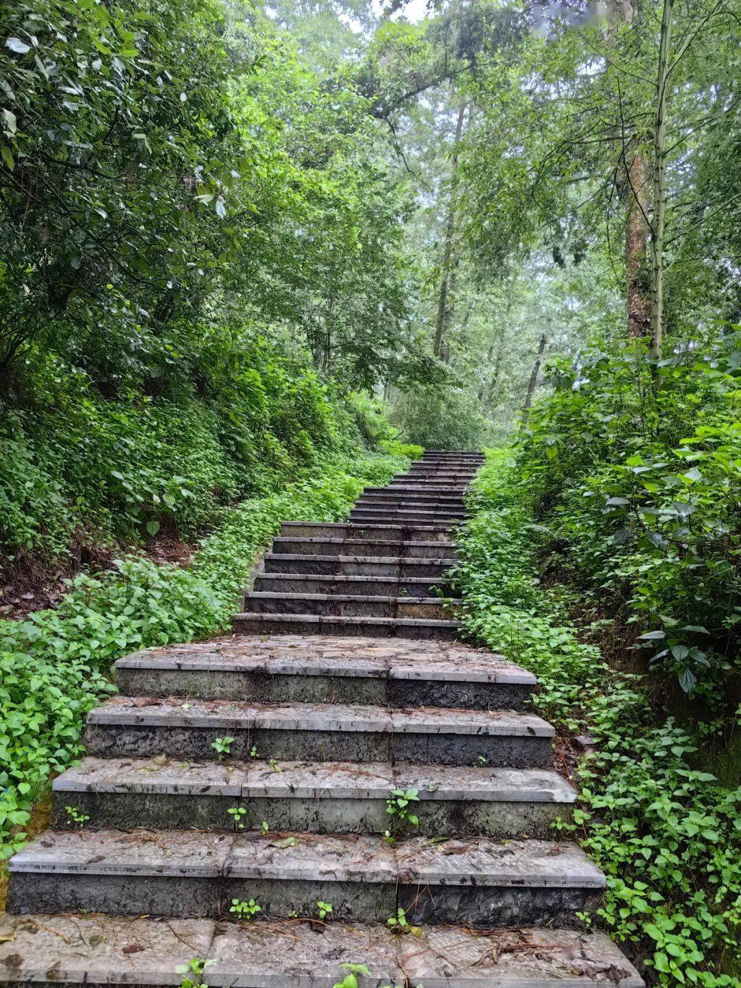 新兴龙山翔顺温泉度假村_兰斯8翔龙山登顶攻略_翔龙山登顶可以做几次