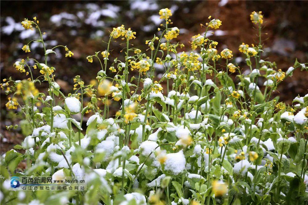 西西弗书店主管级_祸乱天下雪芊芊_126邮箱撤回已发送的邮件