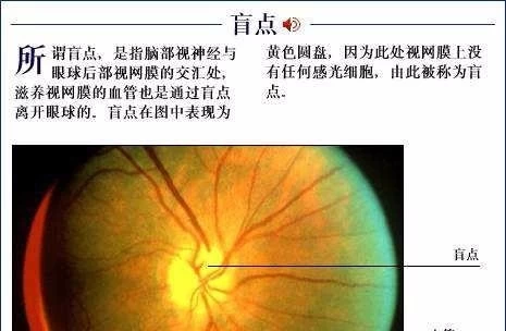 正常人同视机检查结果_正常视力检查结果_正常视野检查结果psd