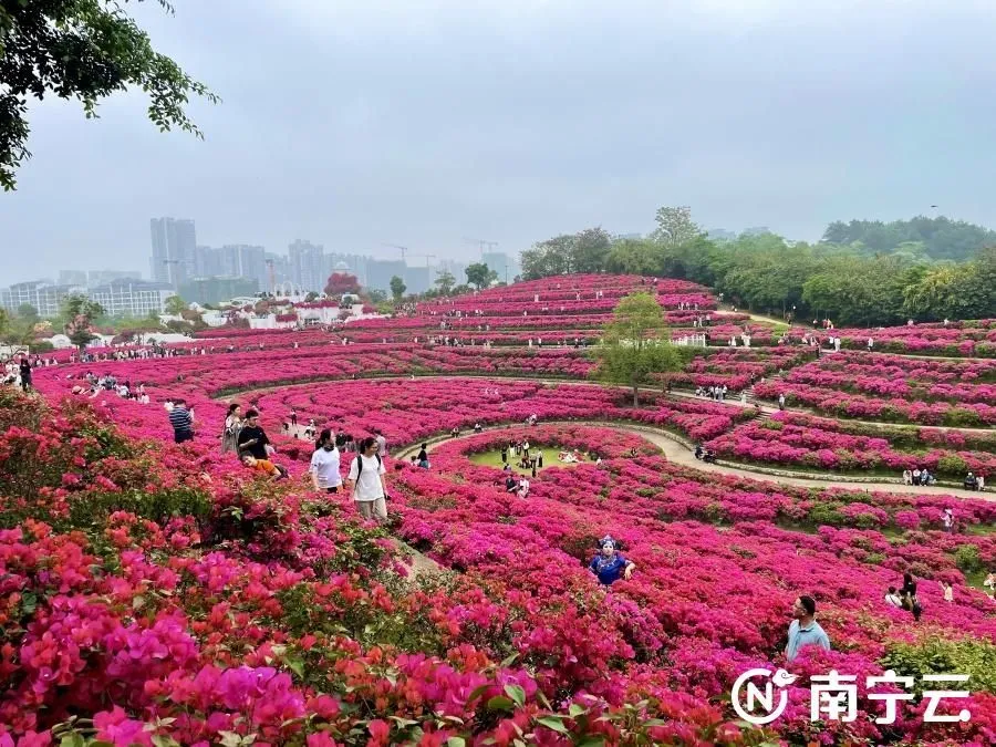 南宁桌游店_南宁悠游桌游吧_南宁卖桌游