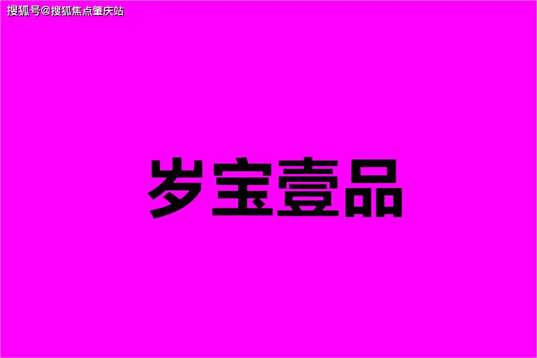 辅助游戏软件_f1 2024游戏辅助_辅助游戏大全