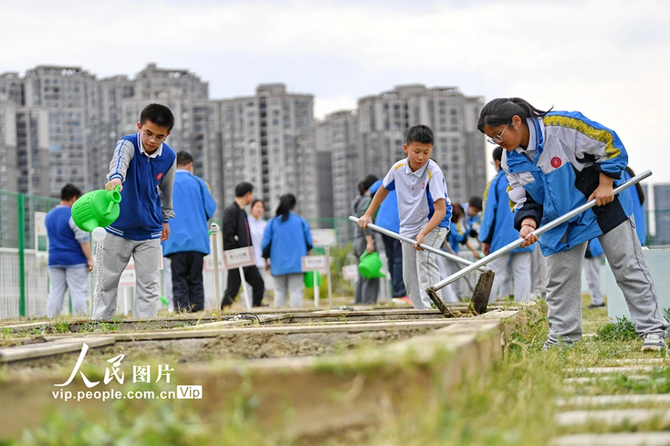 qq农场大地翅膀班级_qq农场校友班级怎么加_qq农场班级链接2024