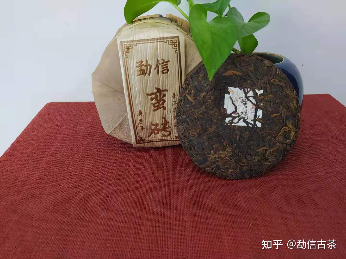 台地茶是什么时候开台推行_台地茶是什么时候开台推行_台地茶是什么时候开台推行