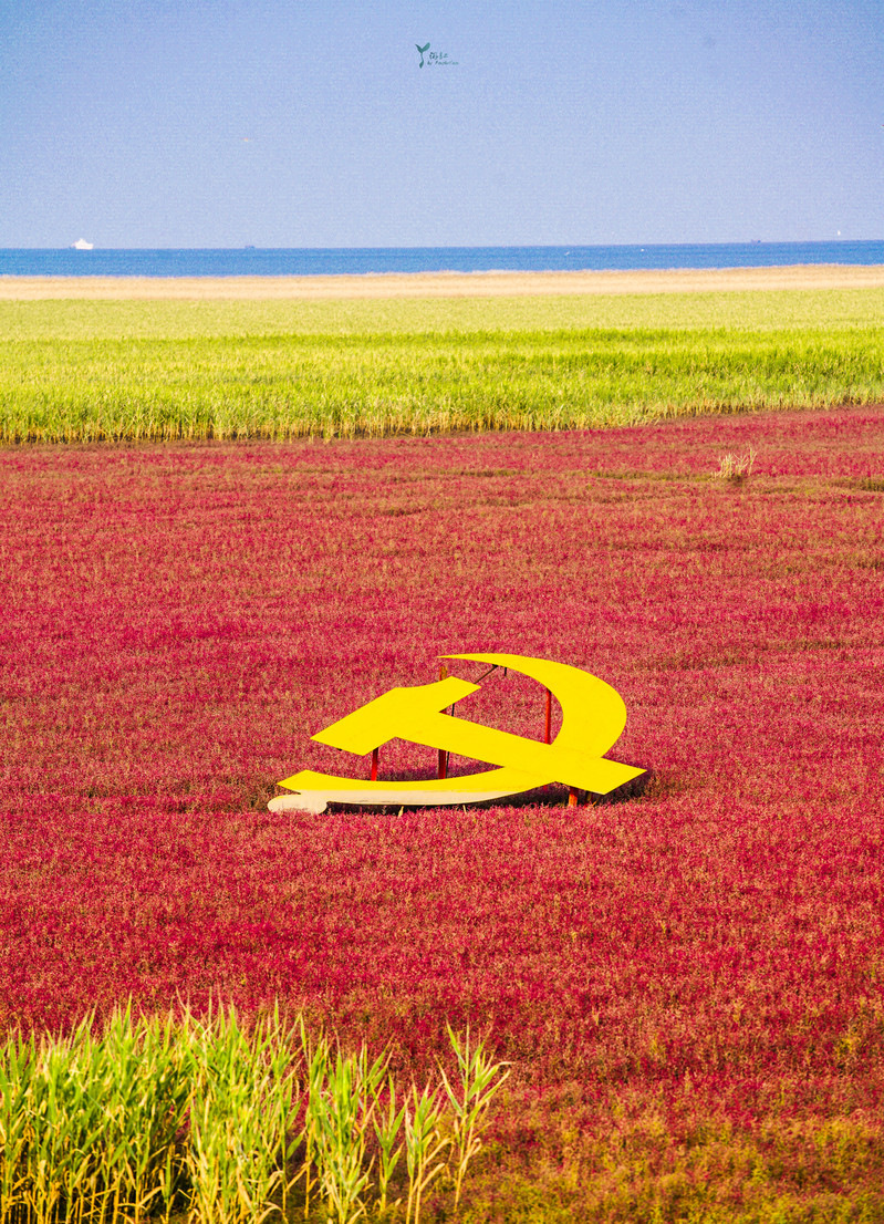 海滩长廊_红海滩风景廊道怎么走_海滩风光