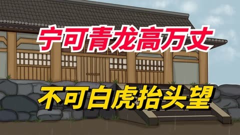 大话神仙伙伴攻略_大话神仙250级伙伴选择_大话神仙神伙伴大全