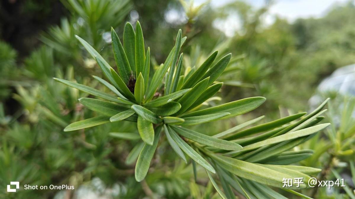 红米游戏增强版root_红米2root后开不了机_红米2root了能容谦游戏？