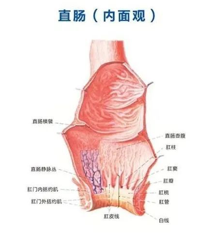 灭火器的使用方法动画_动漫灭火器怎么画_灭火器灭火动画