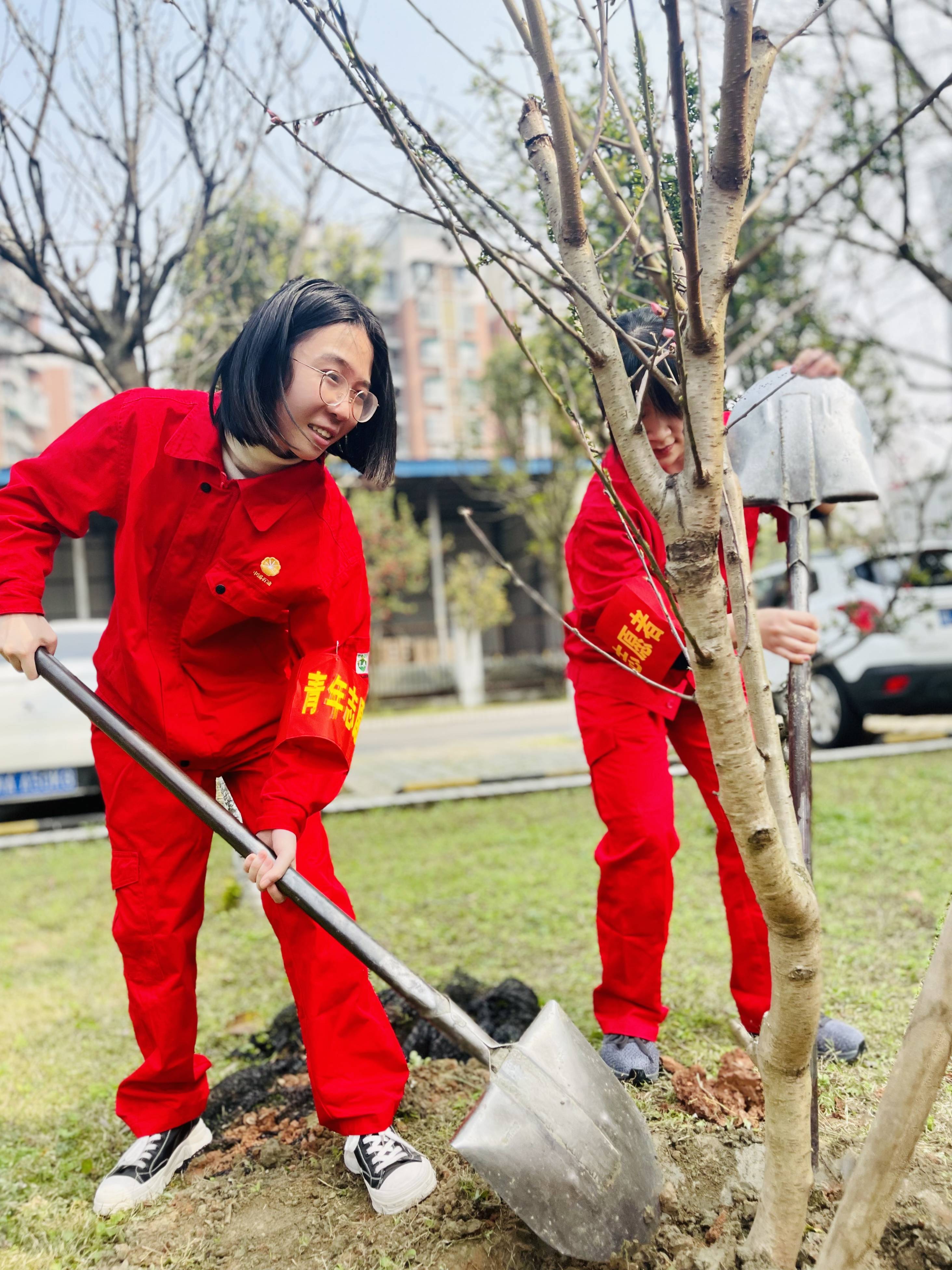 植树的好处是什么_植树好处是什么_说说植树的好处