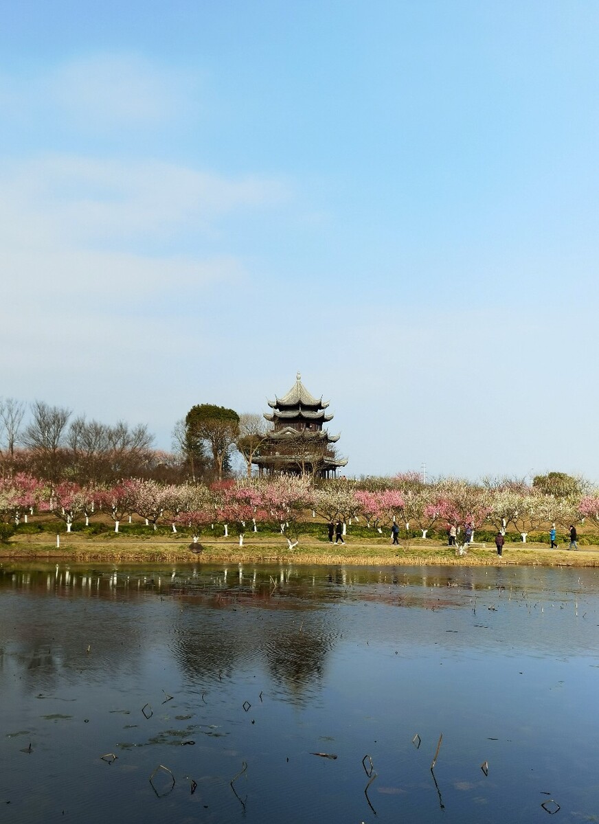 海湾森林公园营业时间_海湾森林公园门票35块_海湾国家森林公园酒店套票