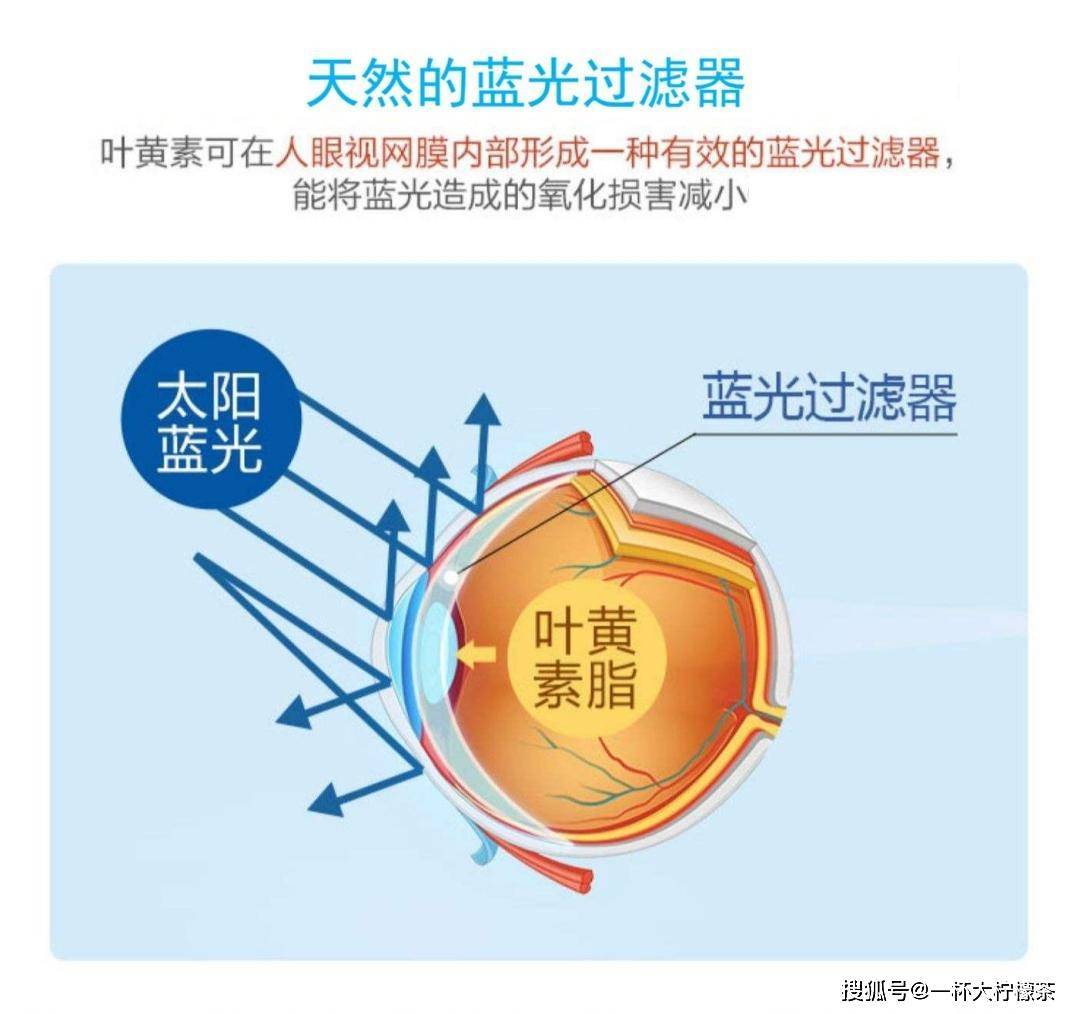 花刺代理连接失败不匹配_花刺代理连接失败不匹配_花刺代理连接失败不匹配