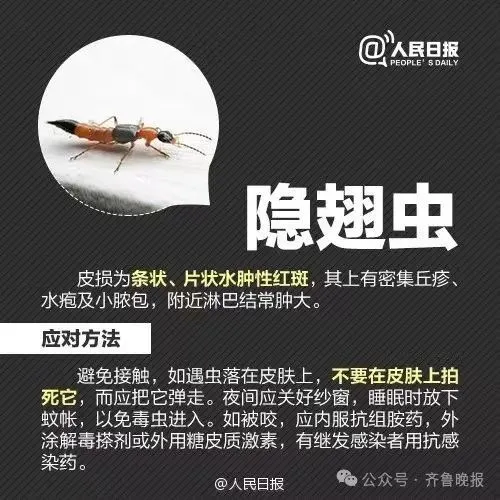 如何检测手机摔出内伤_怎么判断手机有没有摔出内伤_摔倒后内伤怎么分辨