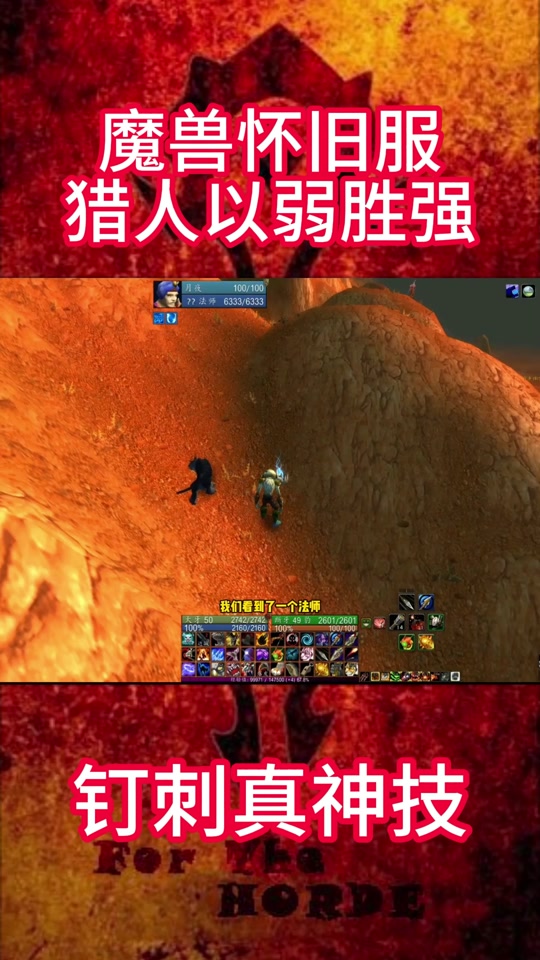 射击猎能带几个宠物_射击猎抓什么宝宝_wow 6.2 射击猎 可以抓 逐日