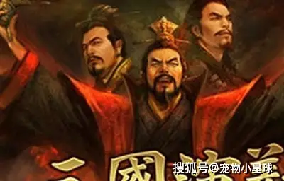 武将风云三国史实怎么选_三国武将风云录_三国风云史实武将