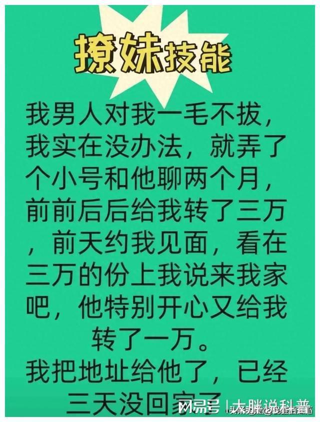 选举日攻略_妹选拔总选举2攻略_妹选拔总选举用什么模拟器