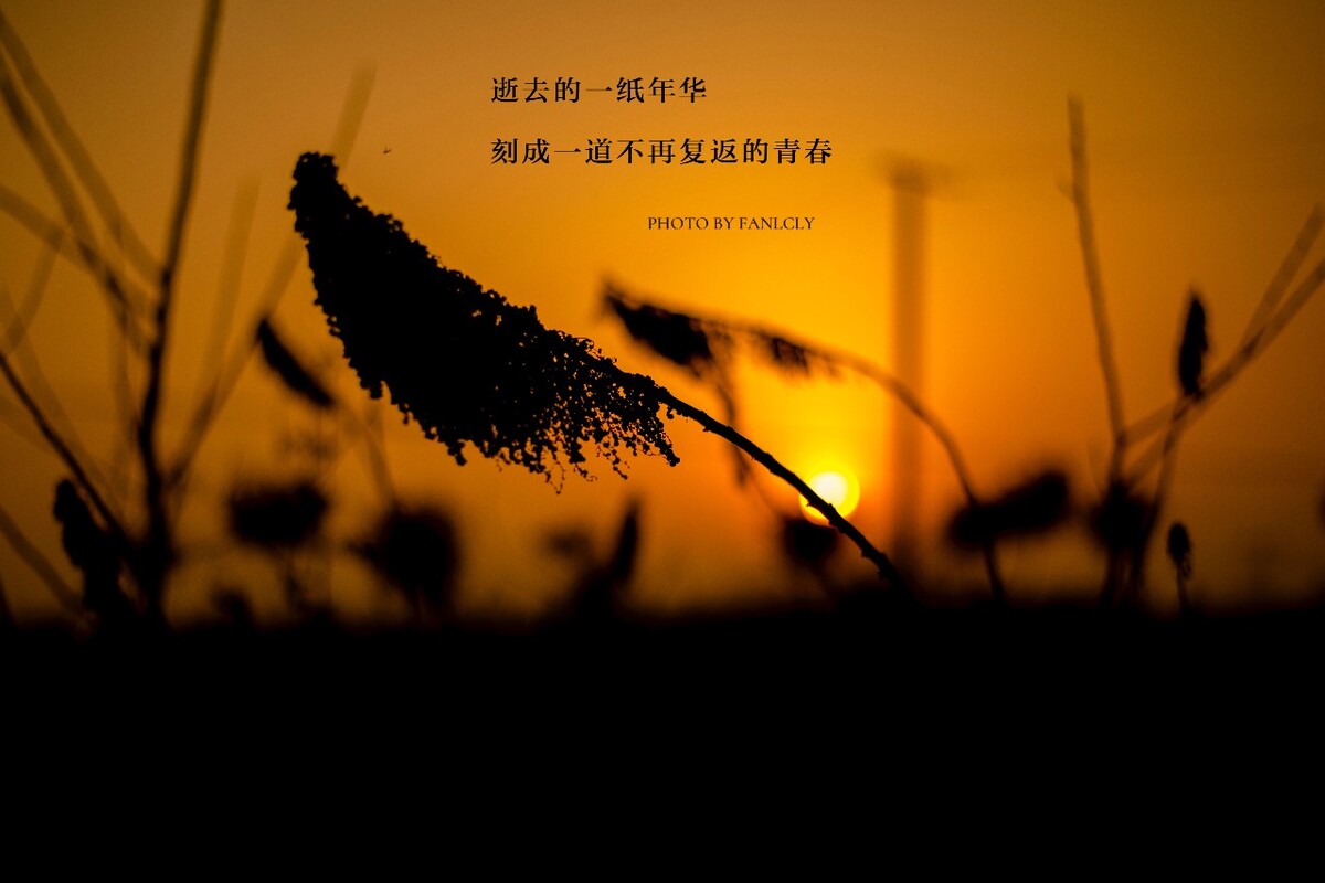 忘记劲舞团账号怎么办_忘记劲舞团账号密码怎么找回_劲舞团号忘了