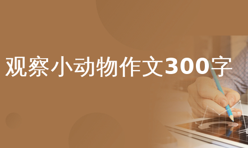 三年级观察小动物日记_3年级观察动物日记300个字_小学三年级动物观察日记