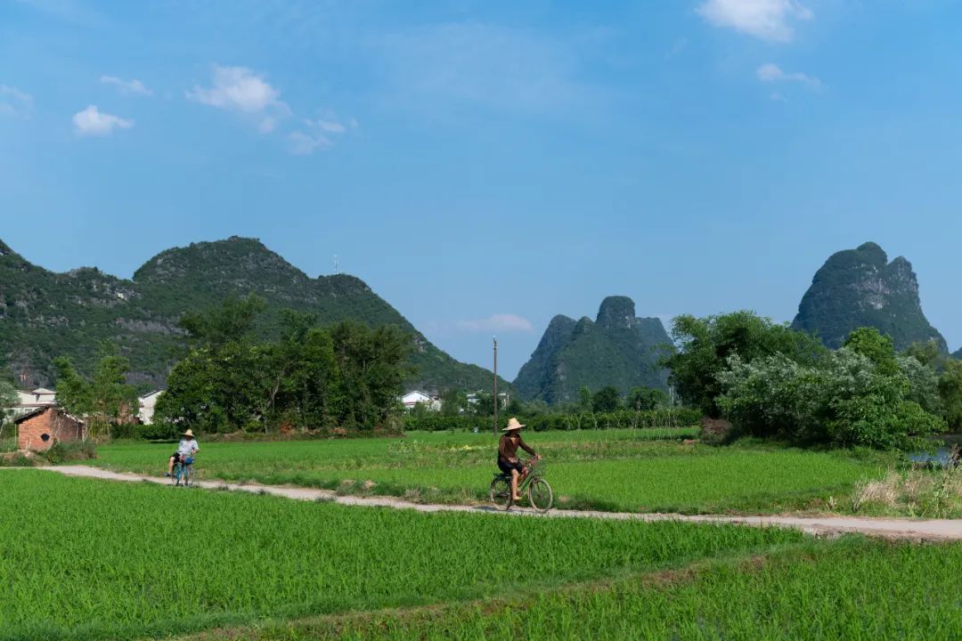 梦幻手游 家园_梦幻手游家园布置方案_梦幻手游家园空间分配