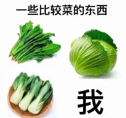 时间重置专家怎么说_2012世界末日时间重置_时间重置