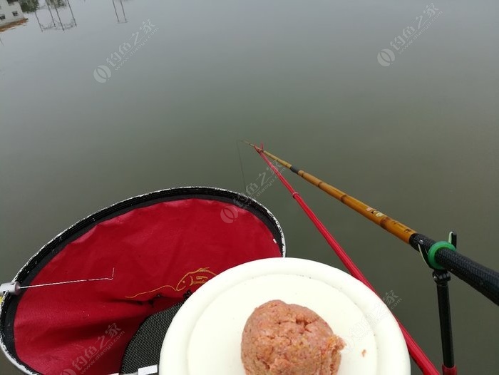 单品爆钓有几种_单品爆钓鱼饵_单品爆钓经典搭配