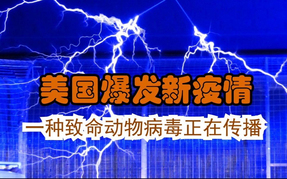 致命手游病毒怎么解除_致命病毒游戏_致命病毒手游