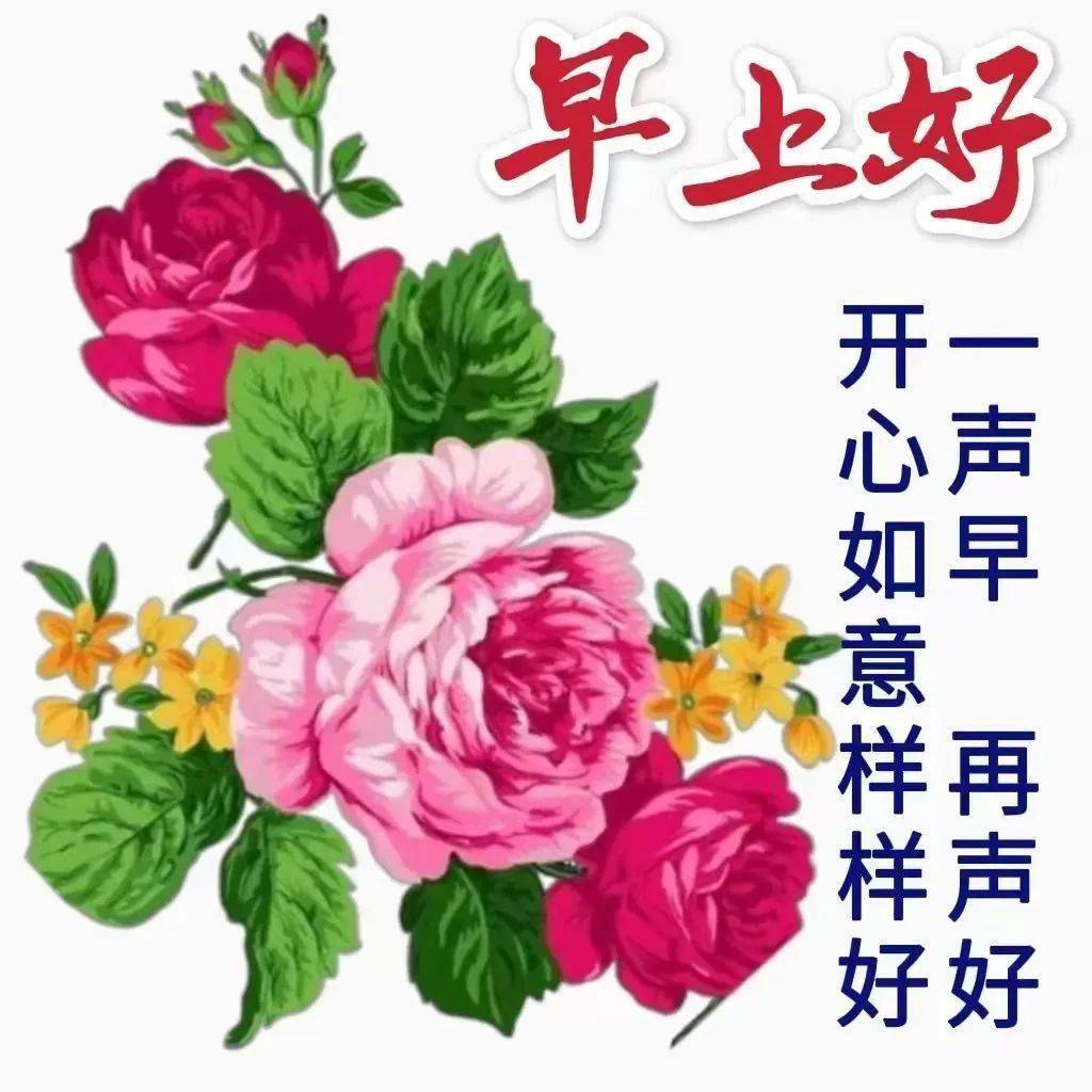 年华打一数字_二八年华一枝花打一肖_年华打一生肖什么动物