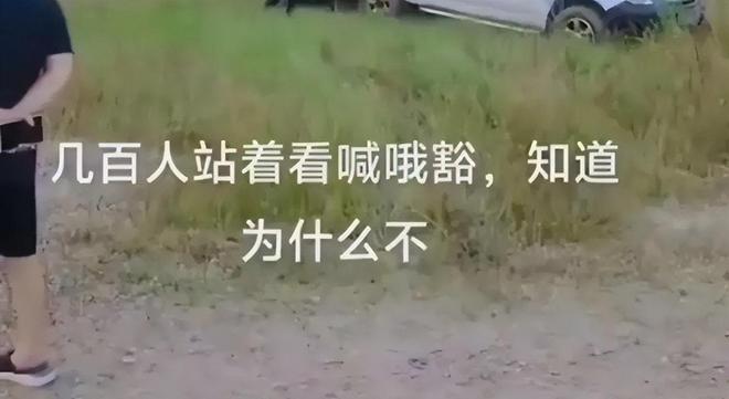 无意中伤害到别人-无心之举竟如刀刃，聊天中不经意的伤害该如何