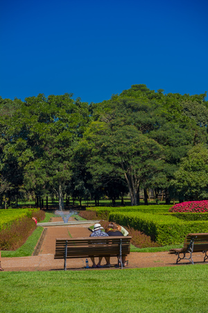 库里蒂巴生态城市_巴西库里蒂巴市_库里蒂巴市