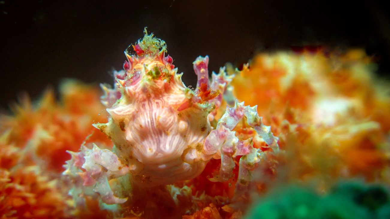 彩虹岛水族馆怎么走_彩虹岛怎么去水族_彩虹岛收费地图水族馆