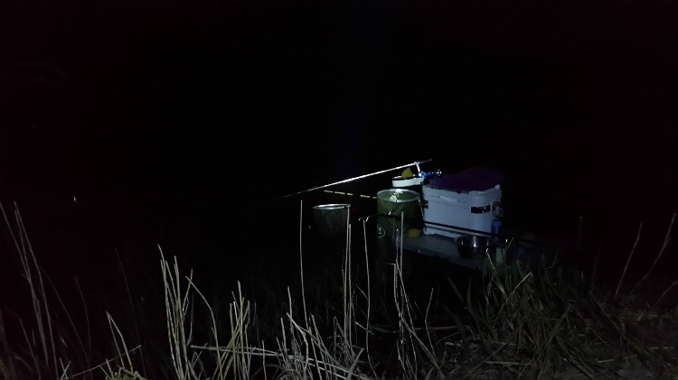 夏季雨前好钓鱼吗_夏季下雨前钓鱼_夏季钓鱼是钓雨前好还是雨后好