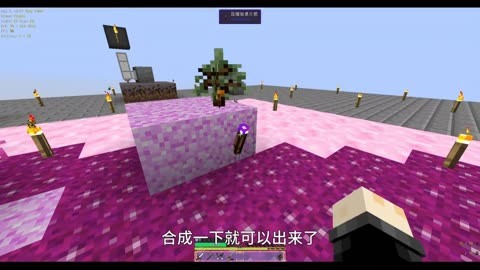 我的世界1.1.2服务器_世界的服务器_世界服务器品牌排行榜