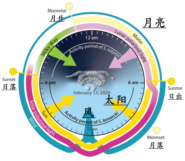 充分条件后面推出前面_充分条件是前推后还是_充分条件前推后还是后推前