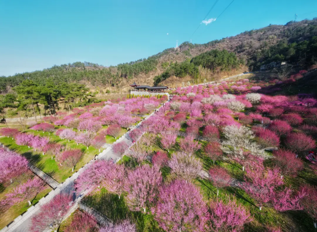 仙剑客栈冰山岛图文攻略_仙剑客栈冰山岛攻略_仙剑客栈冰川岛