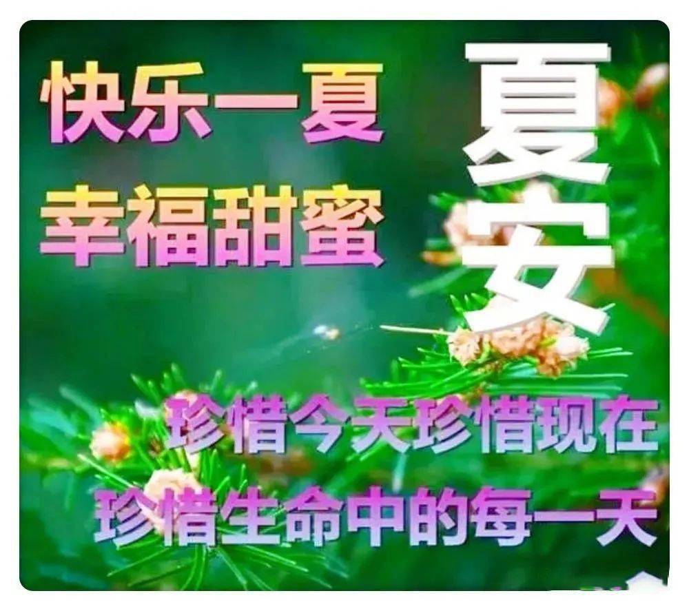 热门短信铃声排行榜_2020最火短信铃声_最火的短信铃声