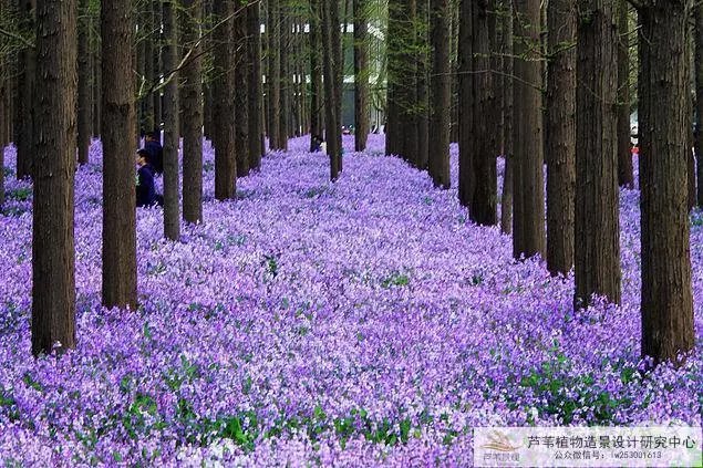 悠之空游戏剧情图解_悠之空游戏剧情图解_悠之空游戏剧情图解