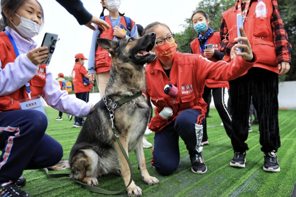 翔鹏警犬训练学校_训练警犬时隔壁上套的是什么意思_警犬训练搜毒