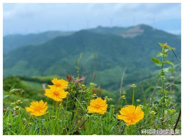 传世无双法宝_传世无双武器可以强化4次_传世无双强化骷髅