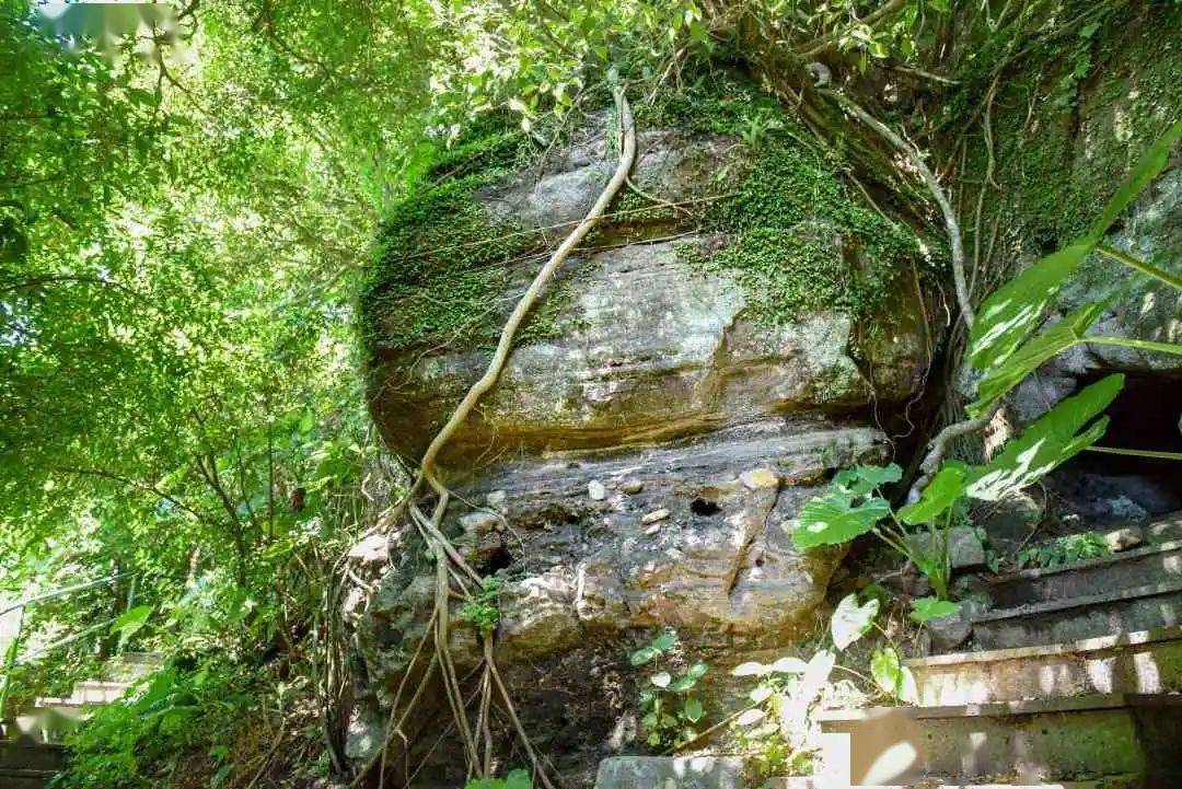 美食大战老鼠火山遗迹：一场关乎生存的终极对决